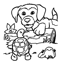 tartaruga para colorir cachorro