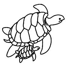 tartaruga para colorir mamae