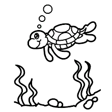 tartaruga para colorir mergulhando