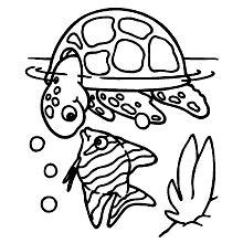 tartaruga para colorir peixinho