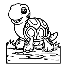 tartaruga para colorir reptil