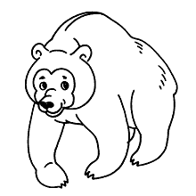 ursinhos para colorir grande